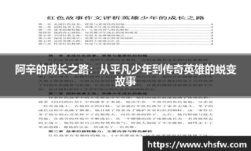 阿辛的成长之路：从平凡少年到传奇英雄的蜕变故事