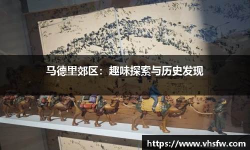 马德里郊区：趣味探索与历史发现